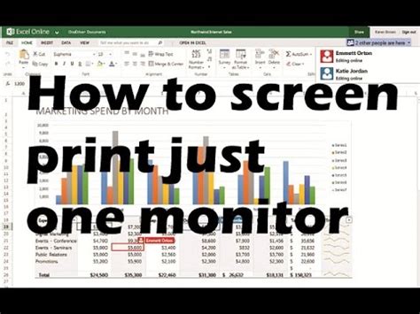 how to print only one screen