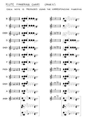 How to Read Flute Sheet Music: A Comprehensive Guide with Insightful Views